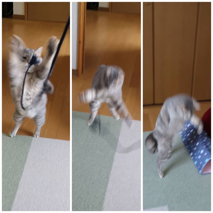 Ef9e12c0 3c96 4df1 9a37 946eb98df00a 1597449604112