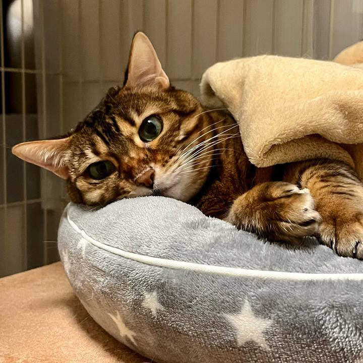 Ef9e14bc 29ff 4c14 902b 34291f49ec81 1678087659479