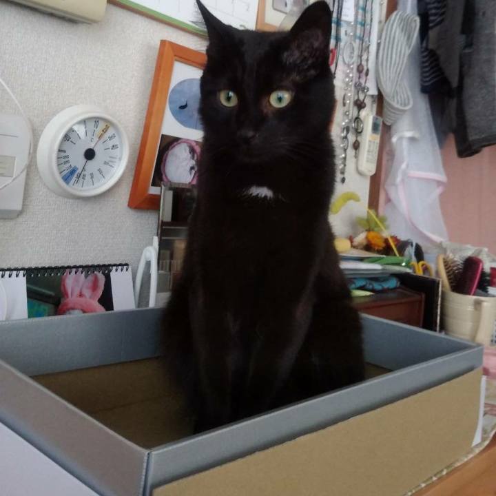 Ef9e1ada 7285 4851 8d4a 9e87fa015eeb 1548989959443