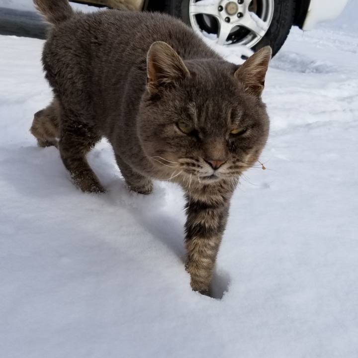 Ef9e2f2a 3658 4857 aca5 33edc53d9855 1549891423928