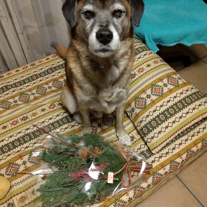 Ef9e3004 5984 48af 9a73 5be95d8da482 1513414559544