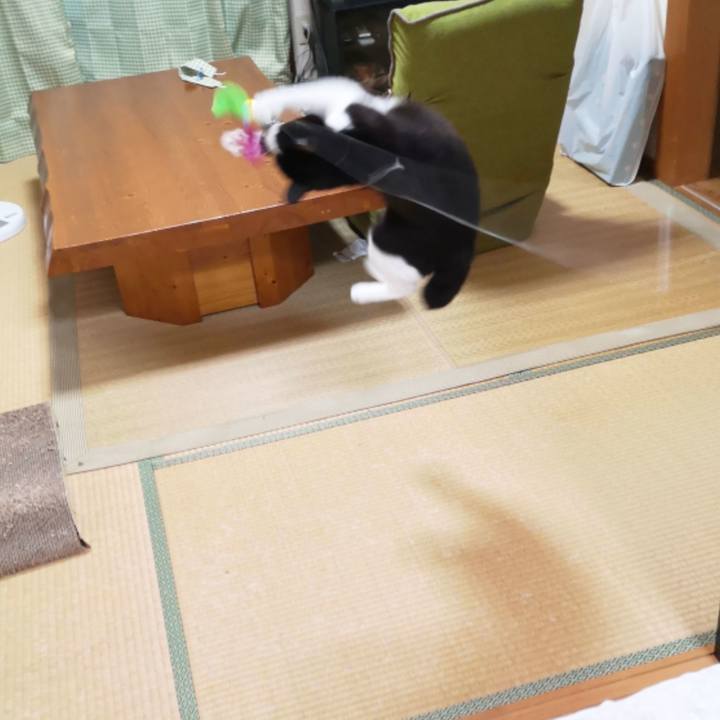 Ef9e3411 2d9c 40b0 af37 3d98b9cff603 1594869450626