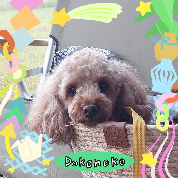 Ef9e4720 c010 43cf 9127 1c19f97a64ad 1755345749051