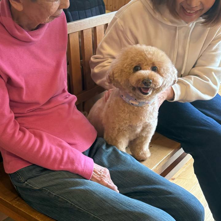 Ef9e5409 c126 4a75 a831 df47e63d8989 1766309775486