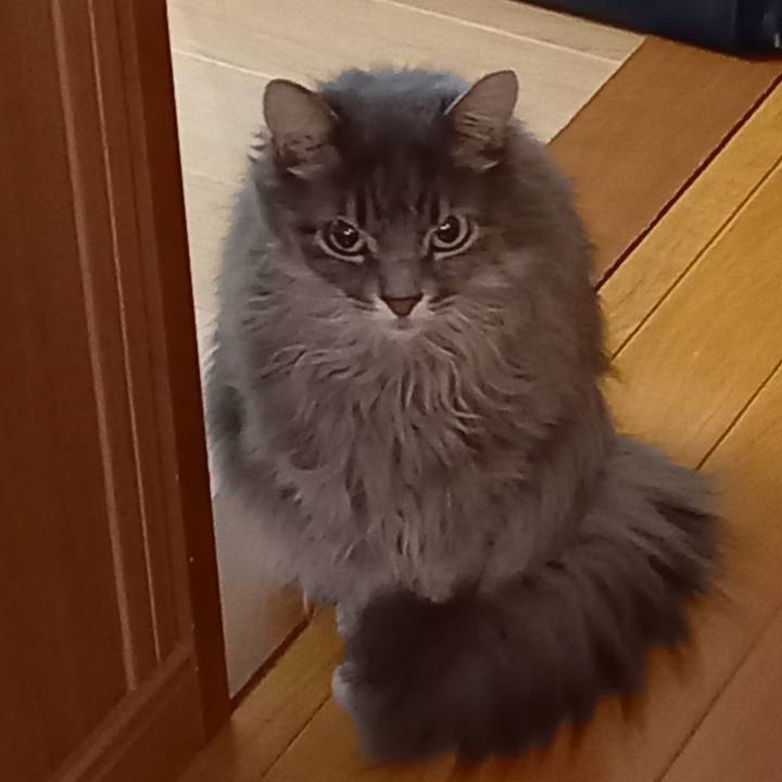 Ef9e6f2f ca0f 46a2 a53b e0306877cb71 1638312717894