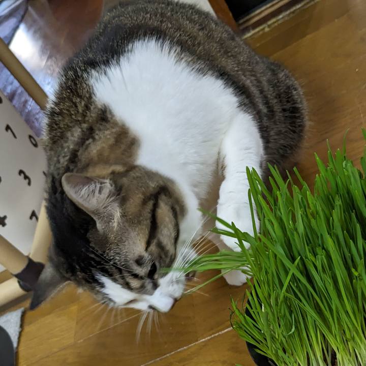 Ef9e8f41 e237 4494 b337 6348fcfc5fb4 1701303303976