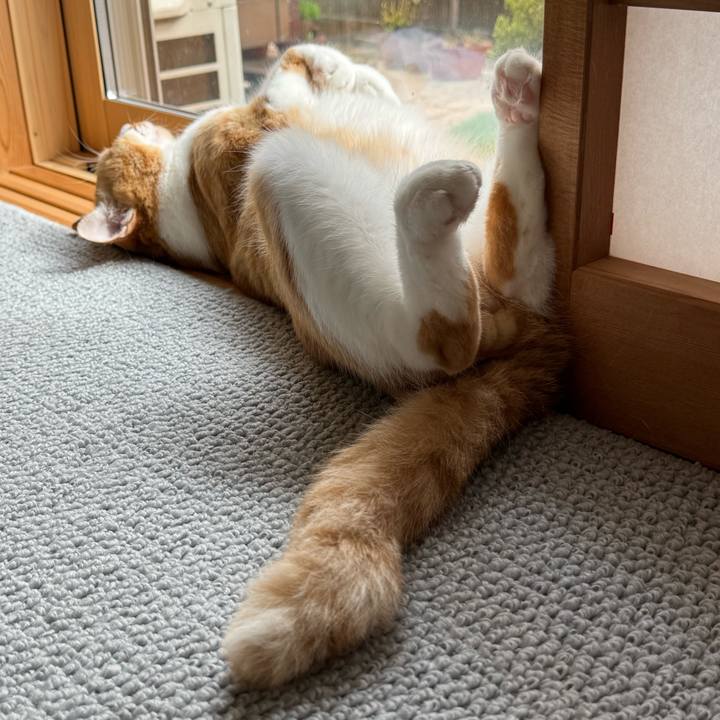 Ef9e974e 67cd 4078 971a 520ab5bb0eeb 1757934156707