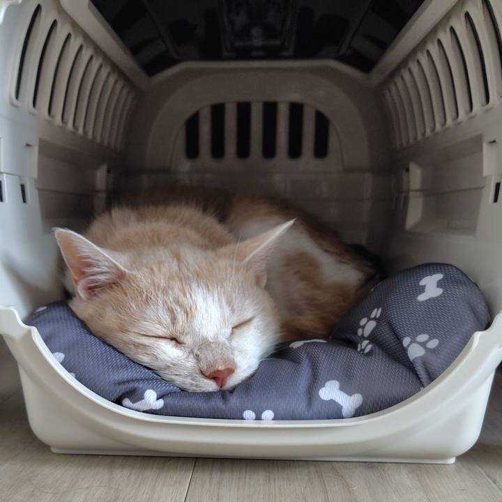 Ef9ebd9d 7cef 4219 a40a bac848558686 1716244469497