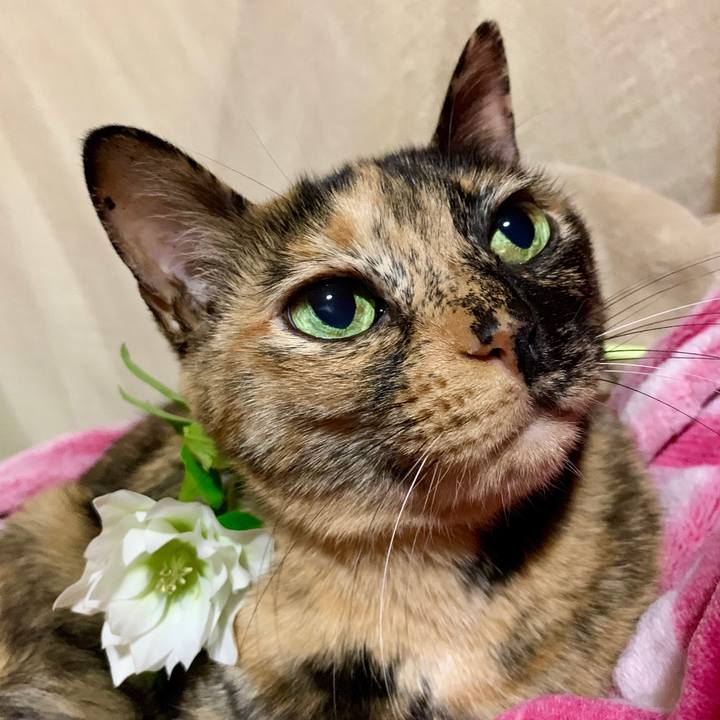 Ef9efe5d 6803 4577 b617 f994a1cd6dba 1553172929537