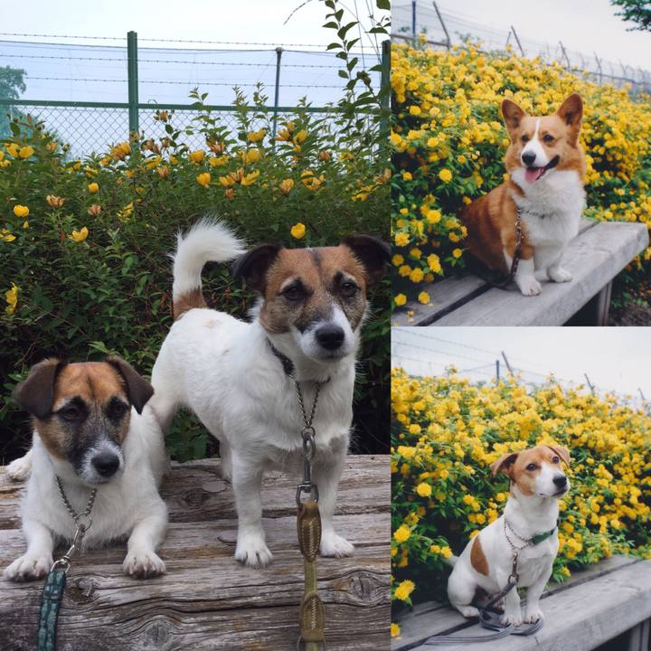 Ef9f0eb6 37fd 43d6 9973 24b64ec73327 1559778483476