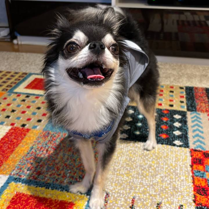 Ef9f1909 18e0 4a2c ac4b d654f4c9b1b0 1728143930798