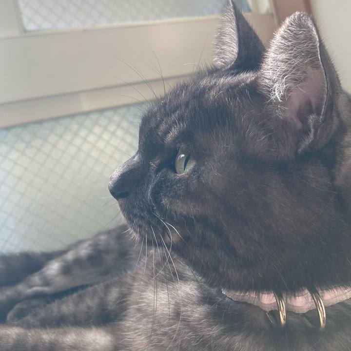 Ef9f25a8 dd15 49f7 8164 93573315b42c 1763949891304