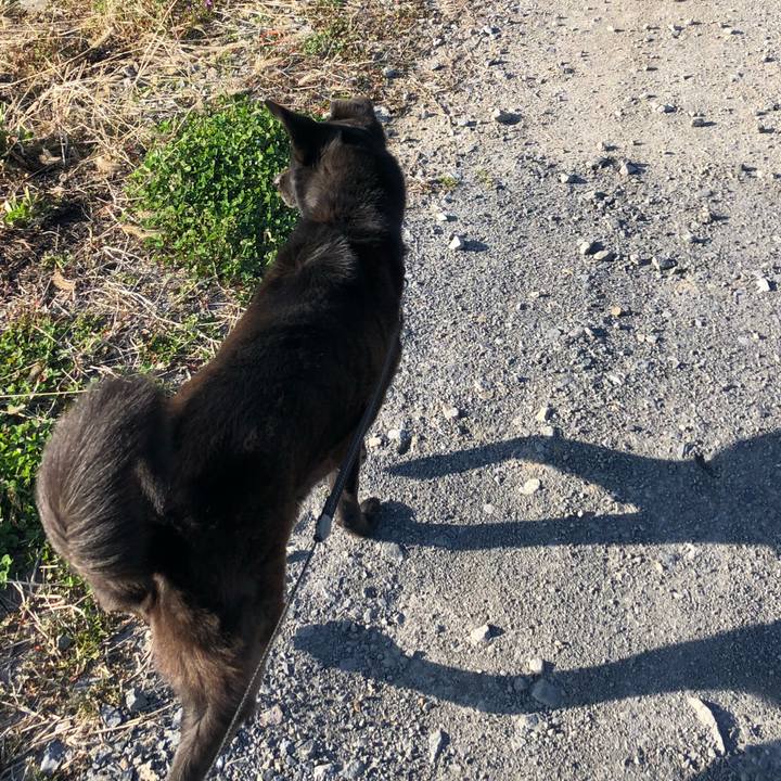 Ef9f26db dea1 4674 a5c6 fe0b3dcde424 1553153571396