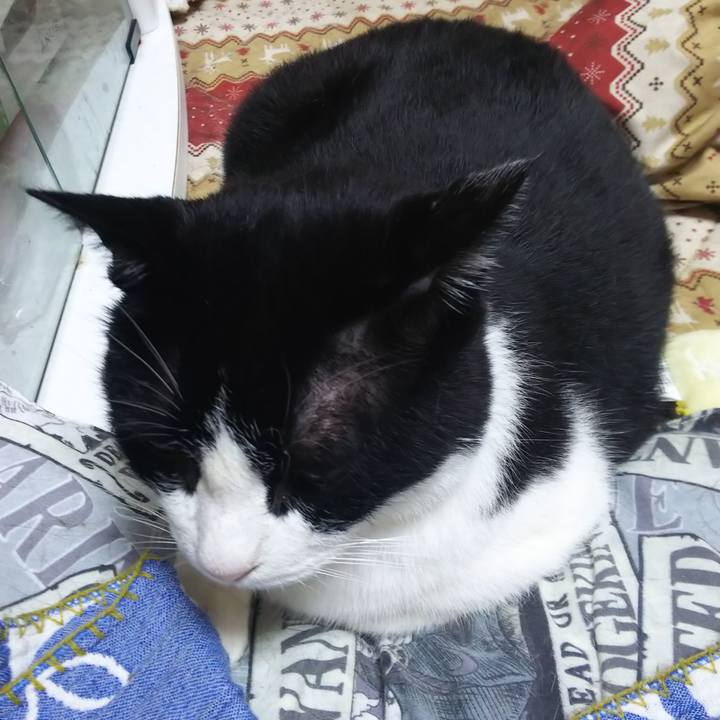 Ef9f382c 2a99 4e3a 9c77 c63497ee28e9 1567720868783