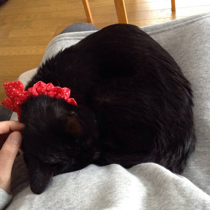 Ef9f5810 4755 4654 98bc 794de9ed8470 1552713758239