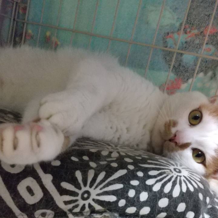 Ef9f667c 13a5 43de 9a0c 6a6e27f6991a 1655971363322