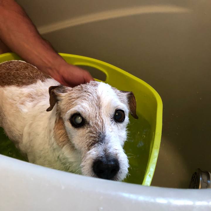 Ef9f6e19 971e 4e20 8b72 d4812b10086c 1530452152766