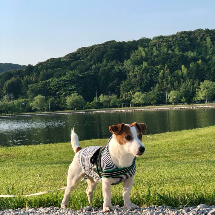 Ef9fa287 2690 49a2 9a86 76ba38549586 1718428630103