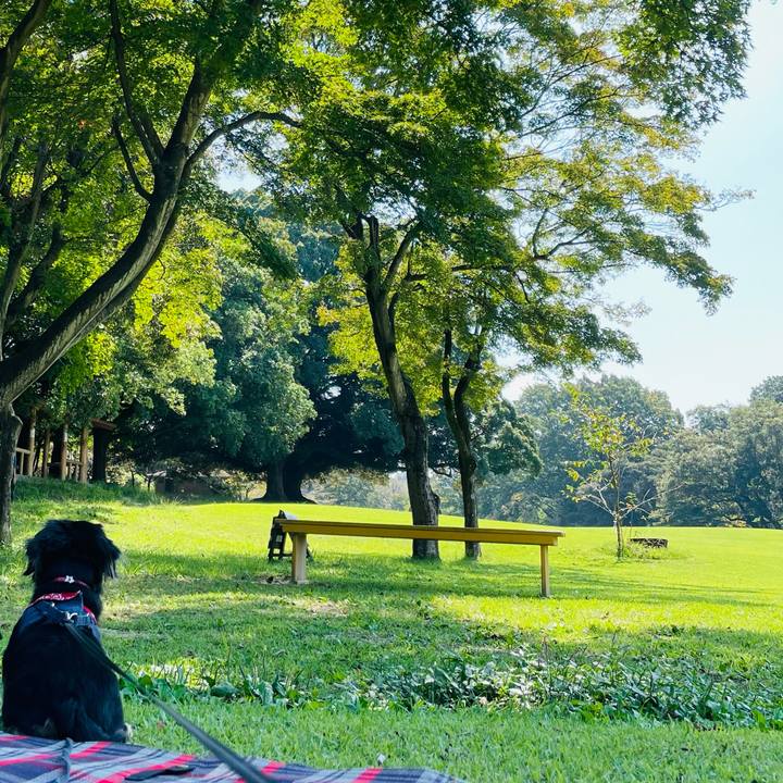 Ef9fa4c5 ef51 43a1 8902 fb54e76a106a 1664269844722