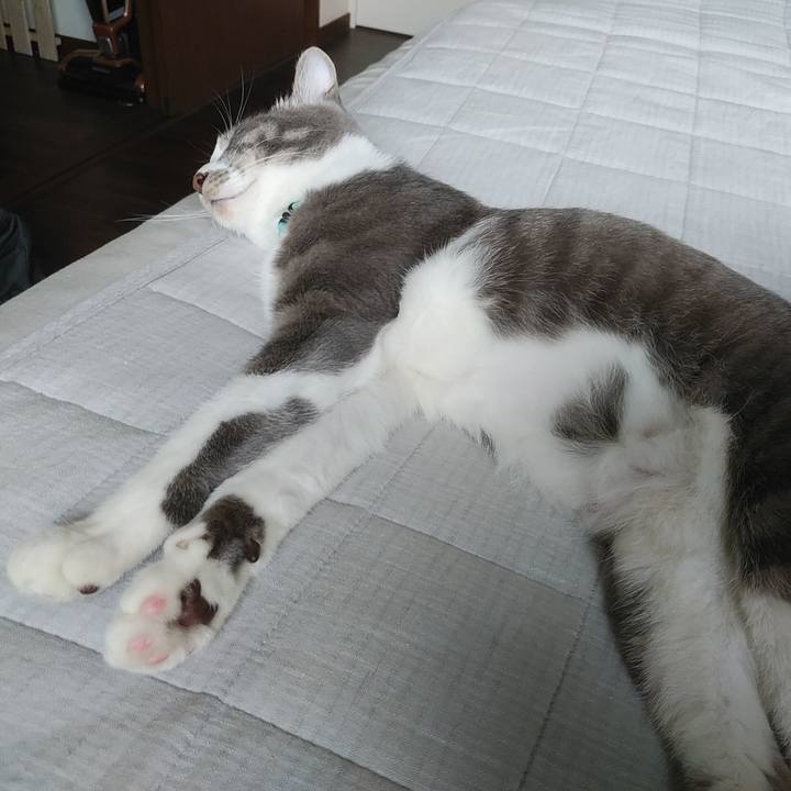 Ef9fdfcd 71c3 4248 a3e8 ba884733e4ad 1594421362590