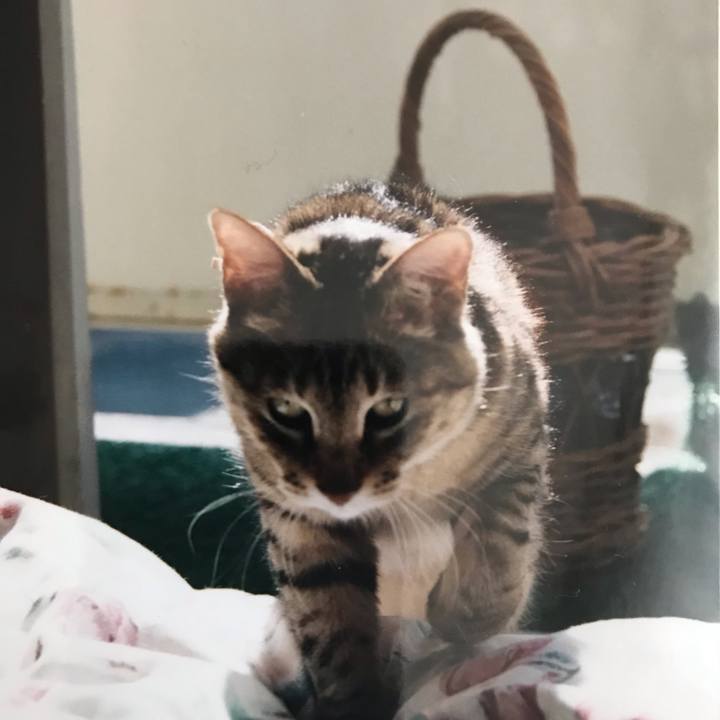 Efa00657 9557 446c bdbe 331be6a2ef9a 1597276255042