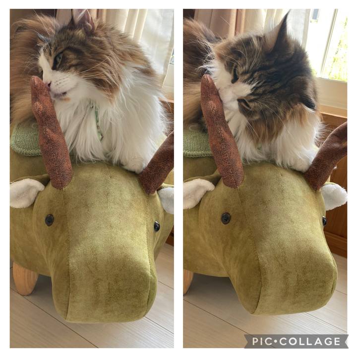 Efa0116e a1c1 47e6 a3a1 8c73b95b7773 1750369311221