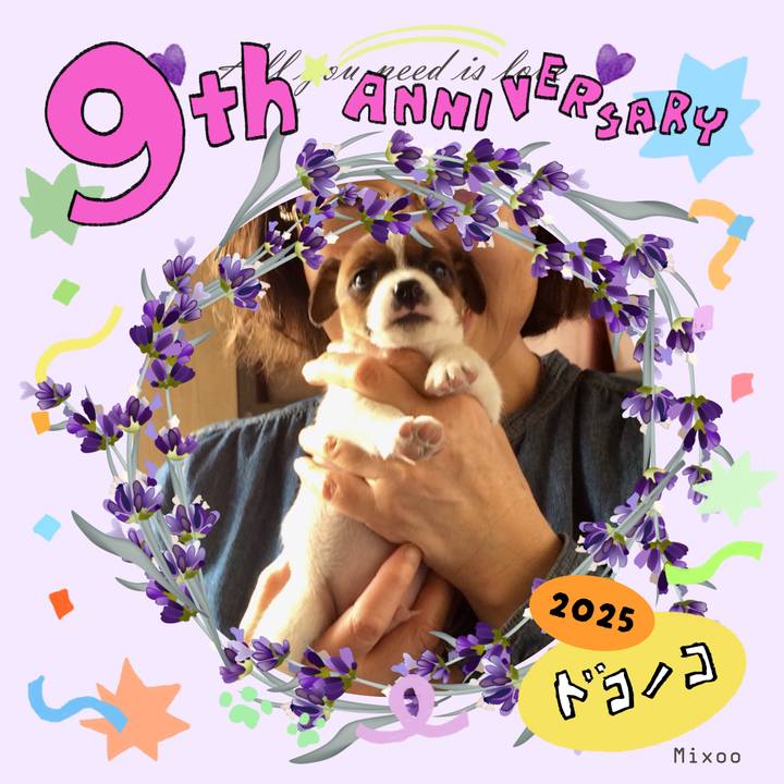 Efa05973 a46d 4d8a b711 74ad0de708fc 1749533244844