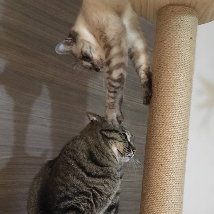 Efa08c2e 5bc7 412b 8775 70439afbcaed 1576235338920