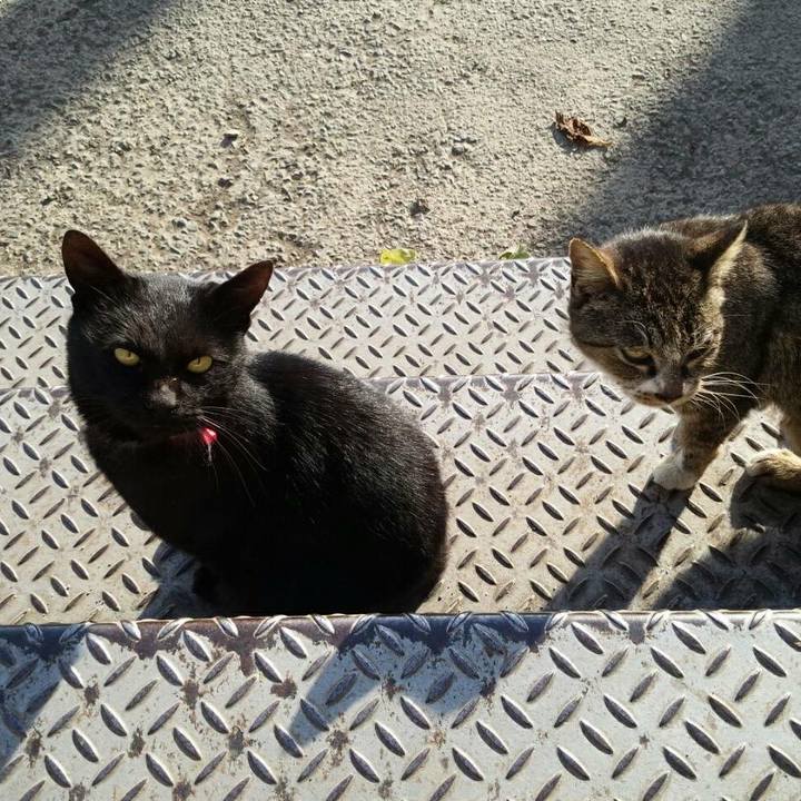 Efa0d59b 4bdc 4759 a225 6f05312e6614 1513347721956