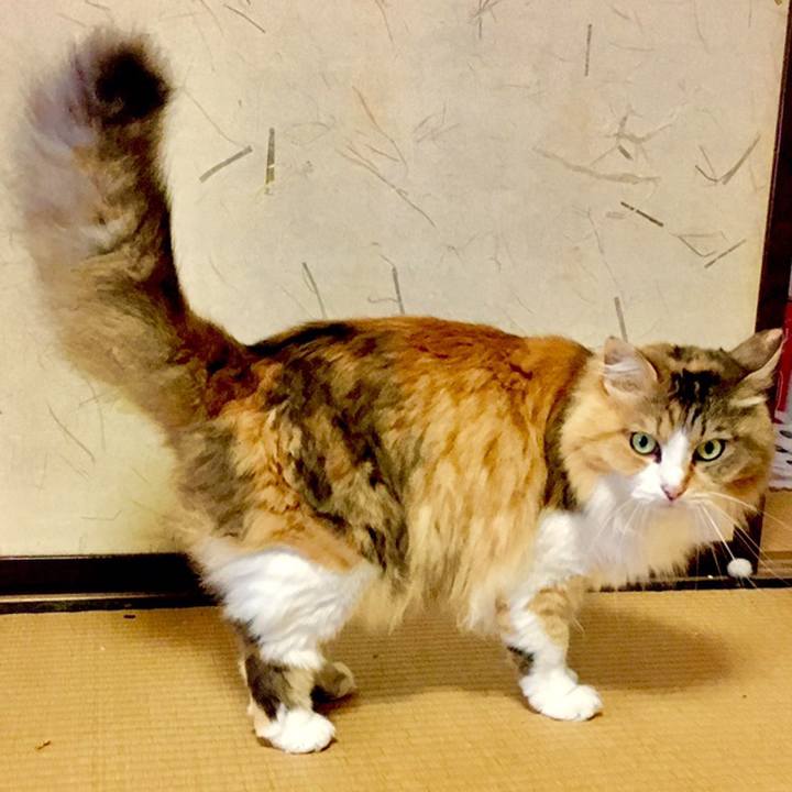 Efa0e4fc 5270 4af8 944e cce48e2c1431 1560048479249