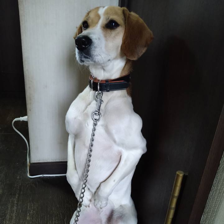 Efa0ee86 33d0 47b1 8332 b5f8a90ec179 1642573309923