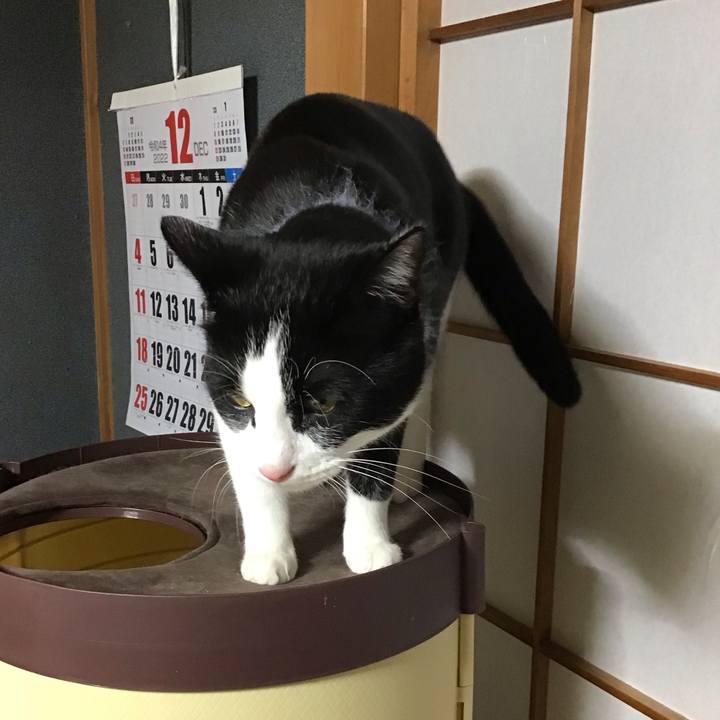 Efa0f63c 6284 4905 a66a c067068dfcff 1671011554992