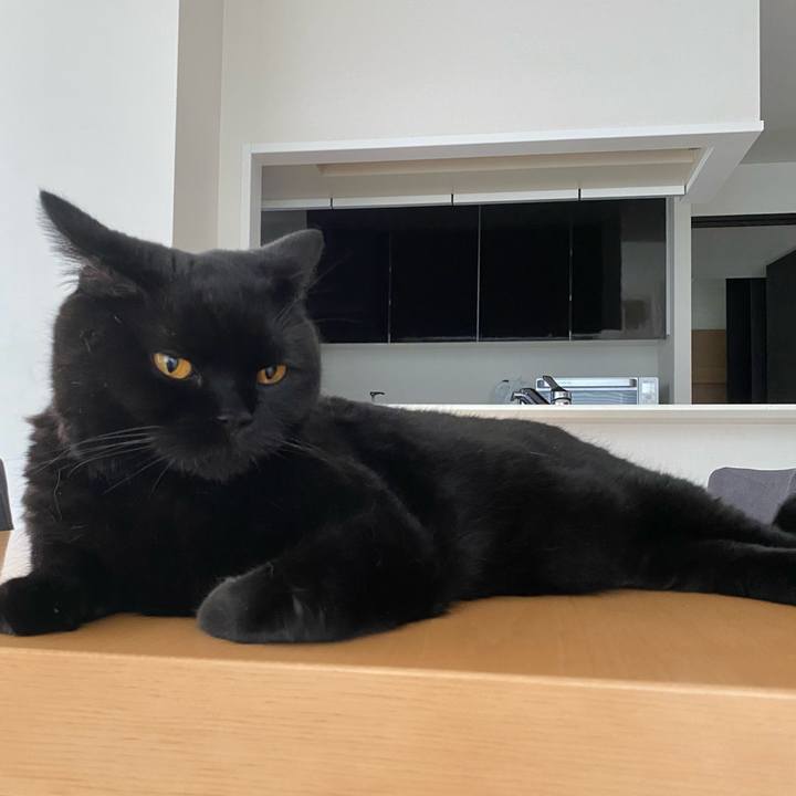 Efa10c40 97c2 4174 9645 31f5a70d4cb5 1628666257989