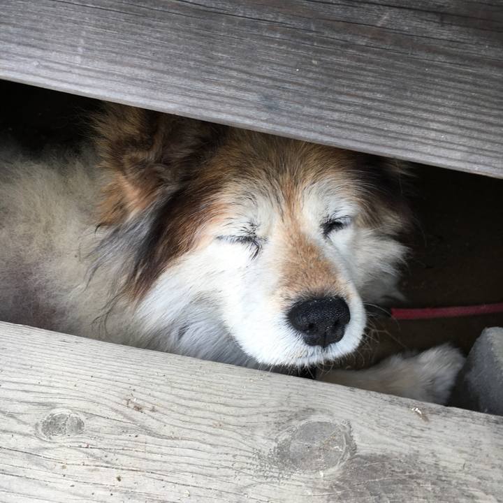 Efa11667 9bb9 4c23 8bd8 aefd9fe77ee0 1555203088542