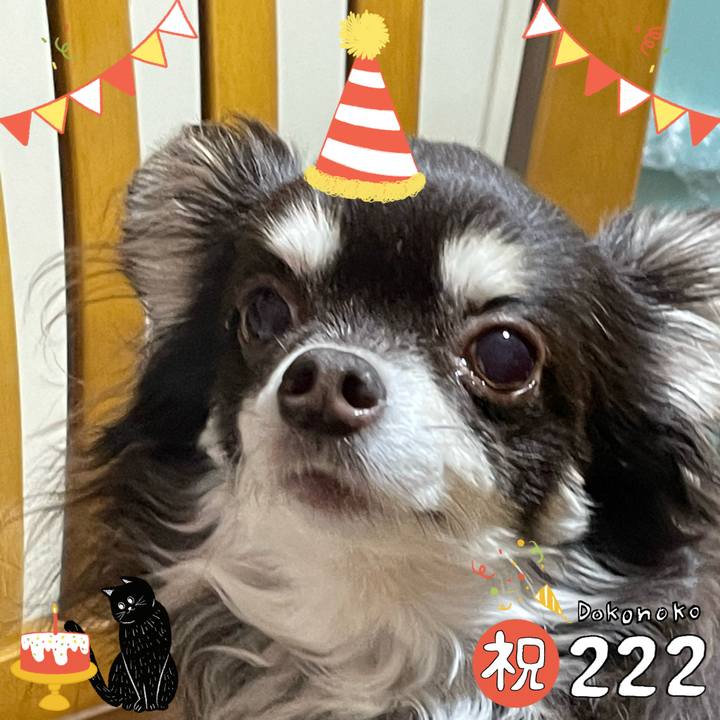 Efa18538 e429 4622 b708 3b6018b481a4 1645535837993