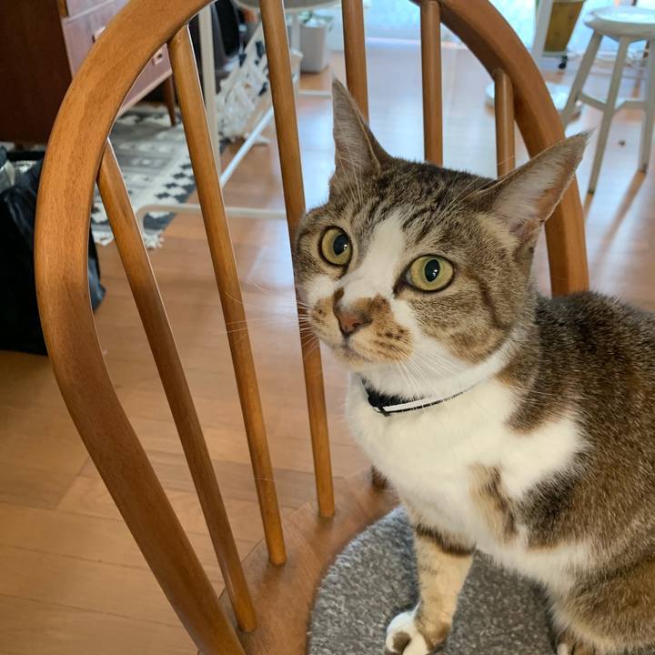 Efa19265 fac6 4df5 bee2 f8b0a0bddd8b 1591768288413