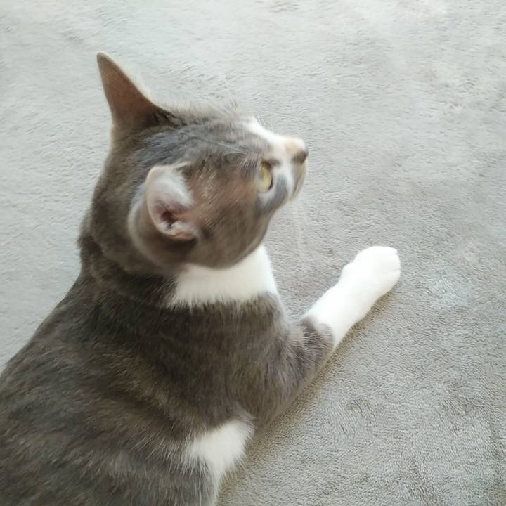 Efa1af01 695b 4e90 ba36 20829acd2111 1595197318191