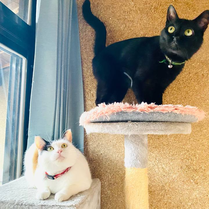 Efa1c81e 450d 47af a72a fa62a2c1b218 1688905044420