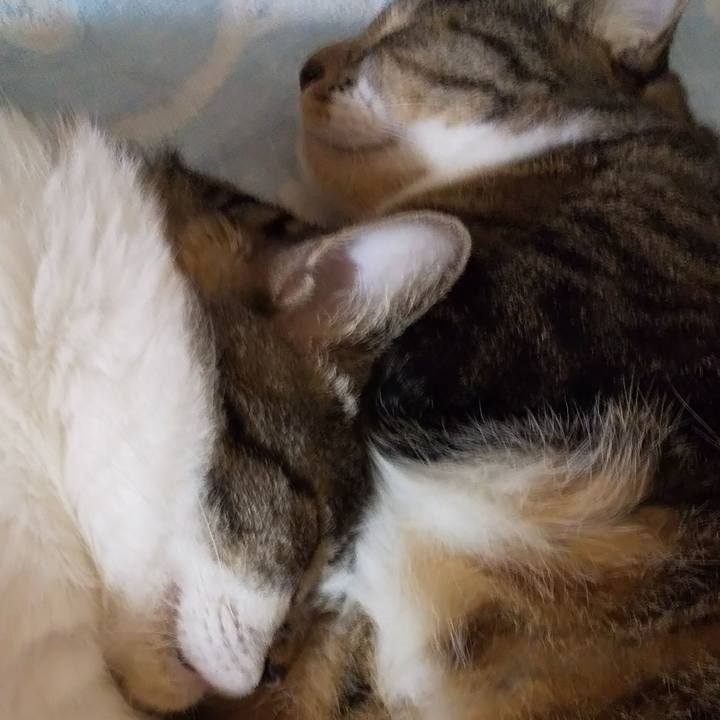 Efa1eb40 eea6 47c4 9025 10460eba735b 1661014924759