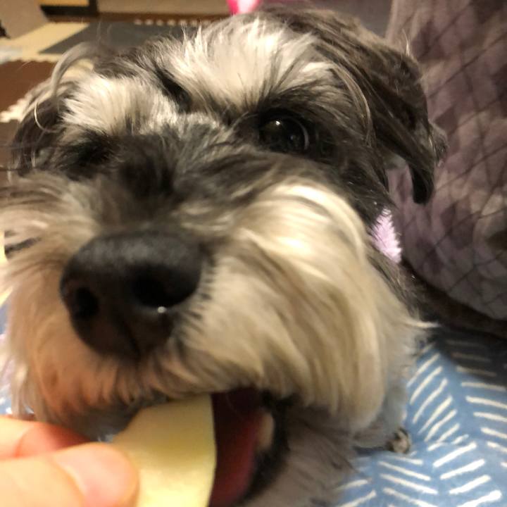 Efa22938 37e1 4983 ad58 34fd78f4027a 1672588063218