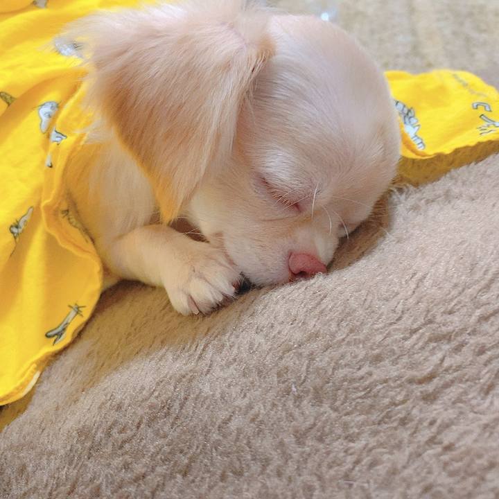 Efa27238 02eb 4e9e a963 0368292c47a7 1596193771809