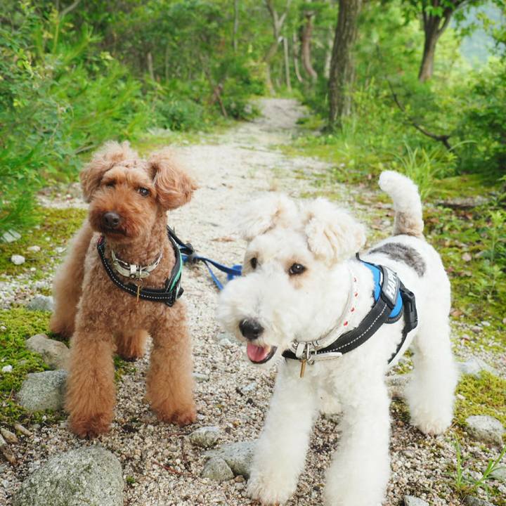 Efa28afa 972b 4c93 923a d71a3ee8be96 1530402392275