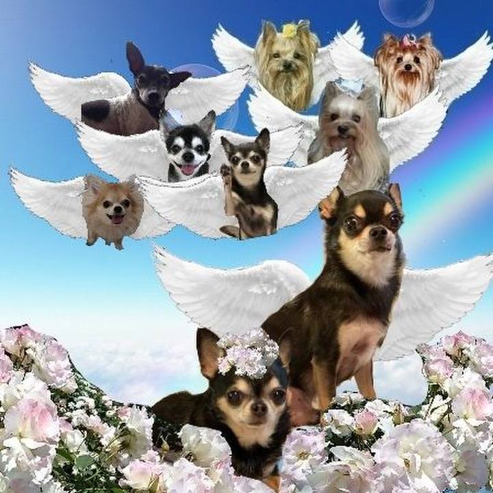 Efa28f4e 2fd5 4941 883b 8fe5395f7618 1744415010856