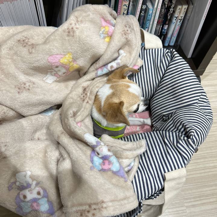 Efa2c2ee cb38 4c50 b244 9e8ebd0aff34 1769071119307