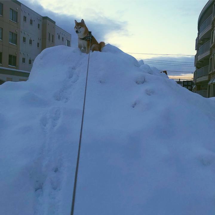 Efa3182b 7760 46bb 81b3 5608e653de5b 1546856931160