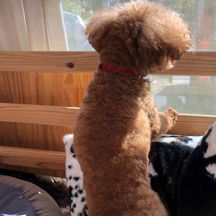 Efa33ffb 4518 430b a147 e85f170d5d57 1604738955644