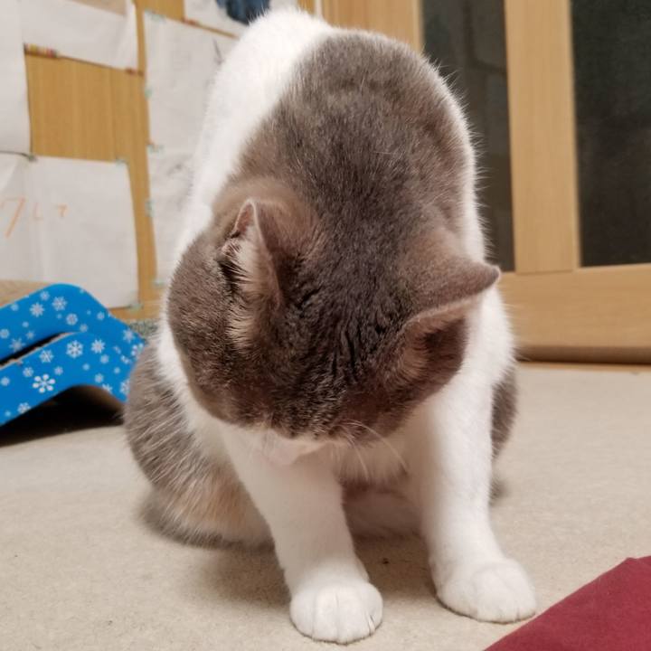 Efa35681 cd62 4d01 9276 cce102b3db0d 1634566560815