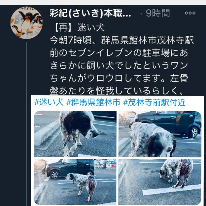 Efa35fe1 f248 449c 995f e3415c45337e 1611048229937