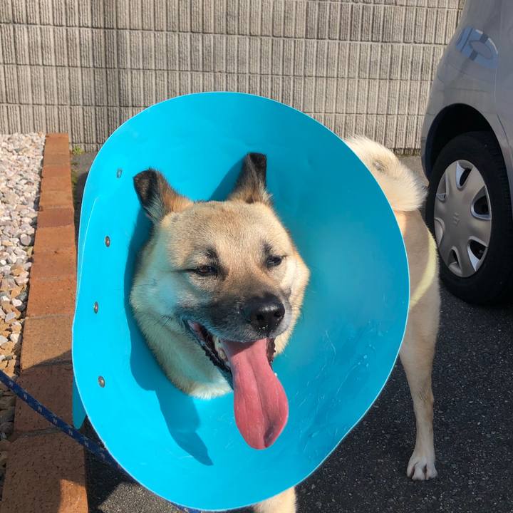 Efa3a13b 29a2 4424 897f 667480633e7f 1587461666693