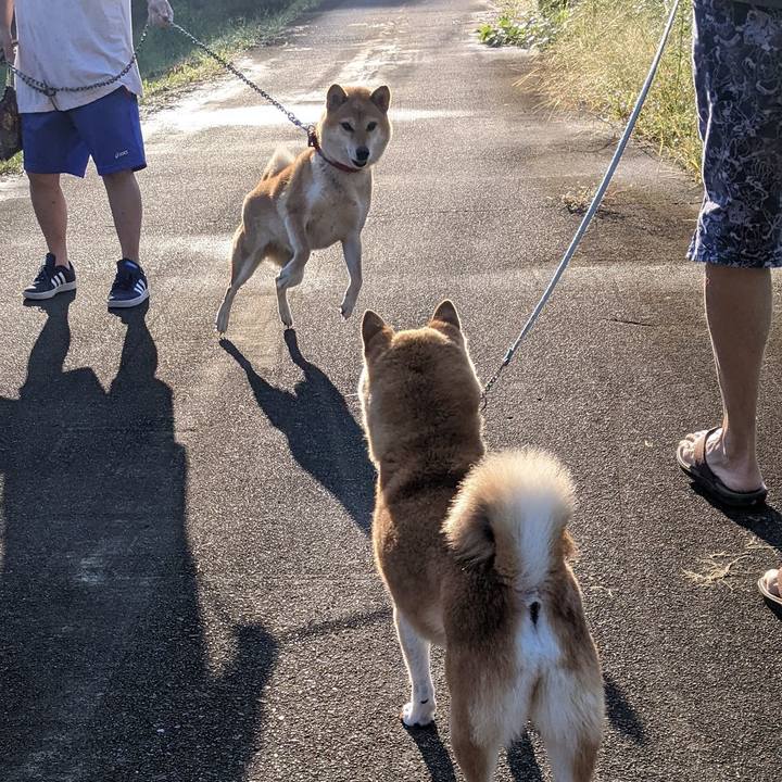 Efa3b9c8 6a08 4d5c 87bc e9ba2a80136e 1664500505114